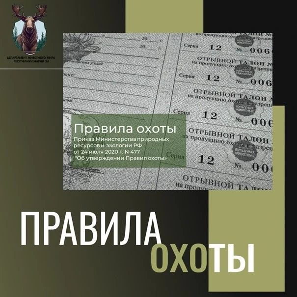 ❗️Напоминаем о необходимости соблюдения законодательства в области охоты и безопасного ...