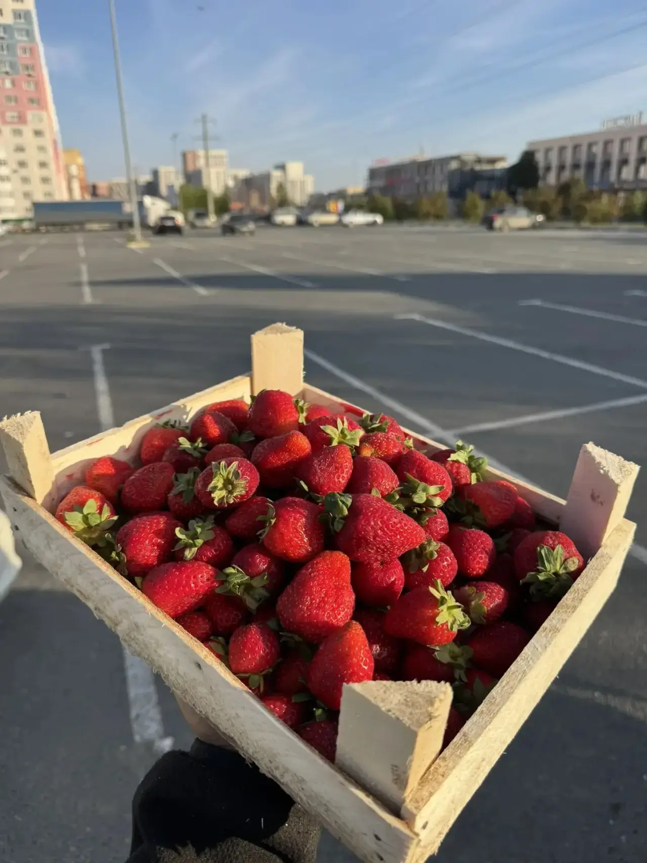 ✨ЯГОДЫ ИЗ КИРГИЗИИ✨