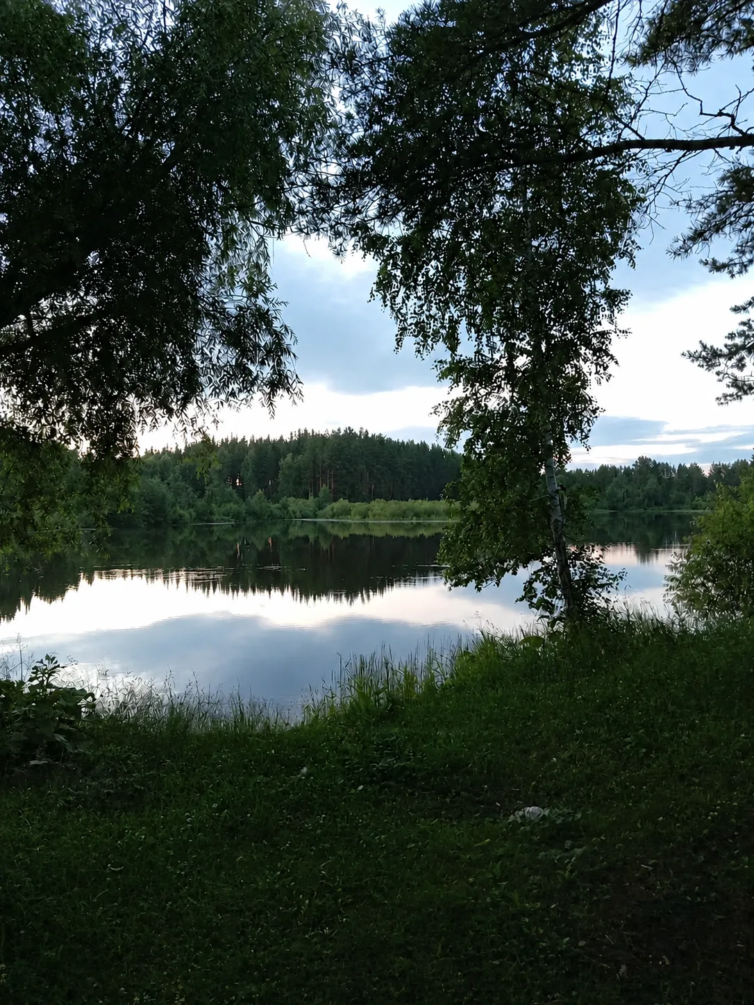 🌄 Летний вечер на территории памятника природы Карагайского бора. Когда ветер стихает, озеро станов