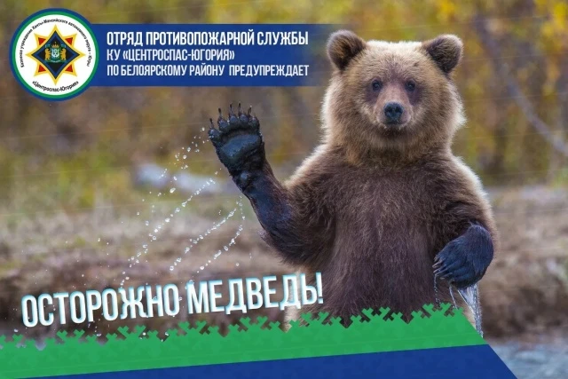 Осторожно, медведь! 
⁣
 ЧТО НЕЛЬЗЯ ДЕЛАТЬ:
▪ Приближаться к медвежатам — мама-медведица рядом и очен