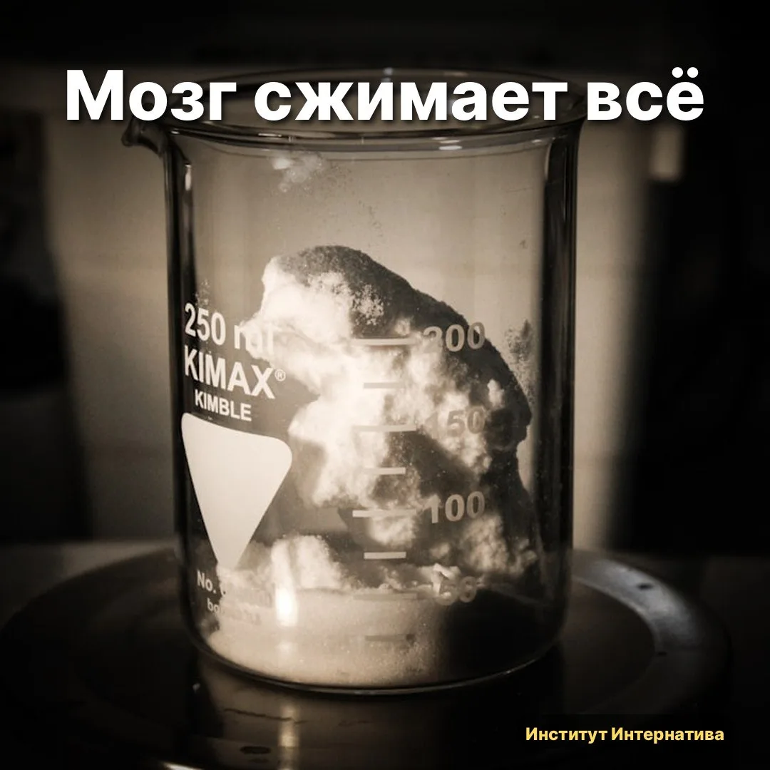 🧠 Посмотрела свежий препринт с arXiv в воскресенье. Зацепила одна цифра: модель, котор...