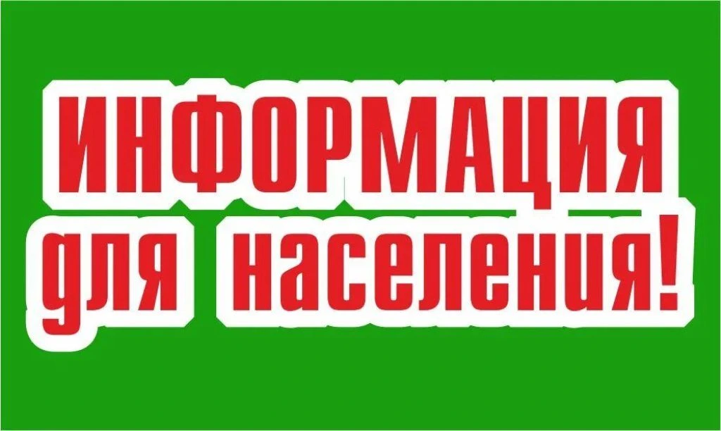 ☝️Растительные отходы могут быть использованы как удобрения или средство защиты для почвы.