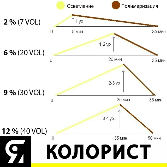 Действие процента окислителя на процесс окрашивания.