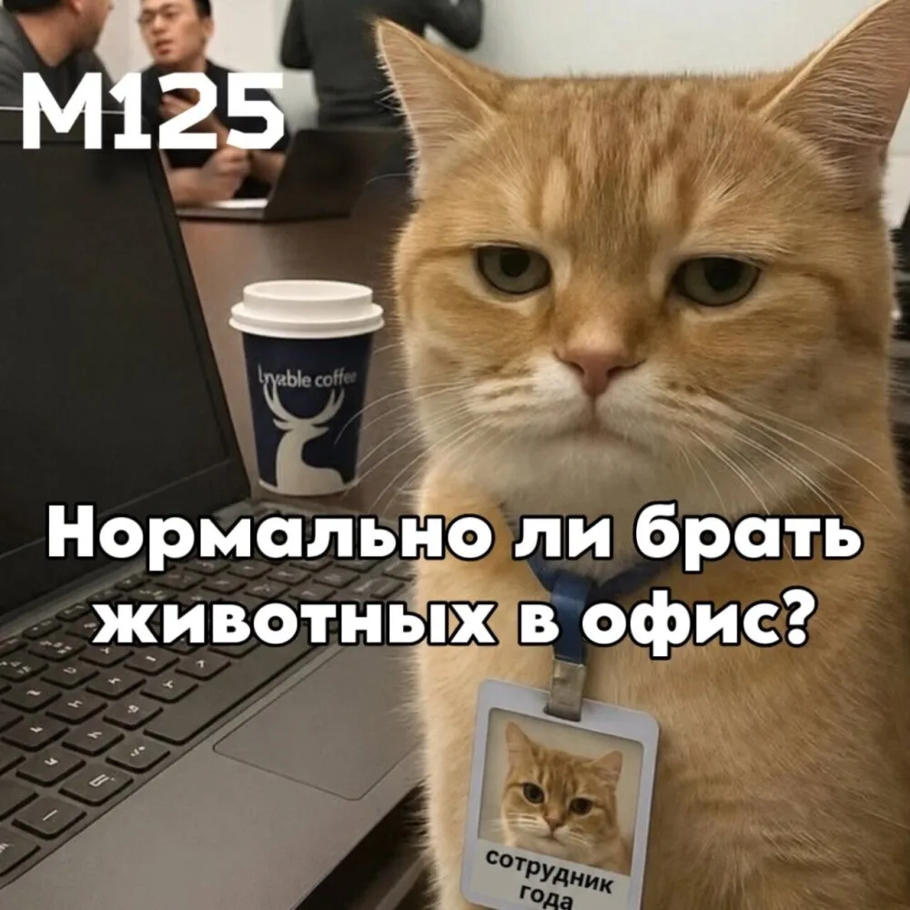 Брать с собой питомца на работу в офис можно — это не запрещено по ТК. Но, если нет письменного разр