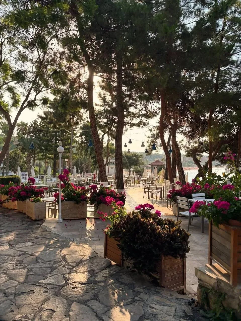Один из самых уютных и цветочных отелей Алании по адекватной цене 🇹🇷

🏖Utopia Beach Club 5*
Камер