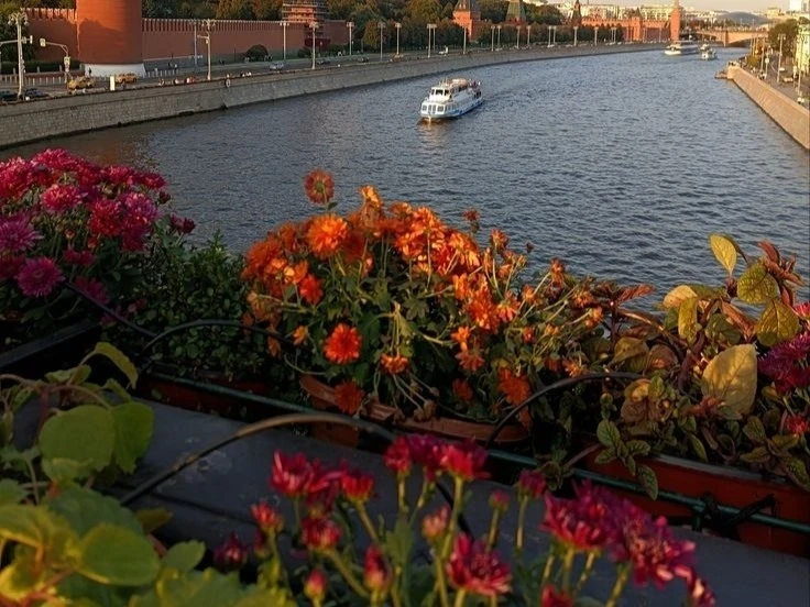🌅 Доброе утро!
