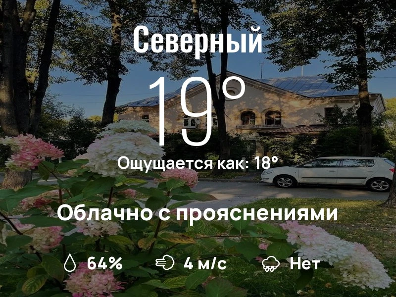 Что с погодой в Северном?