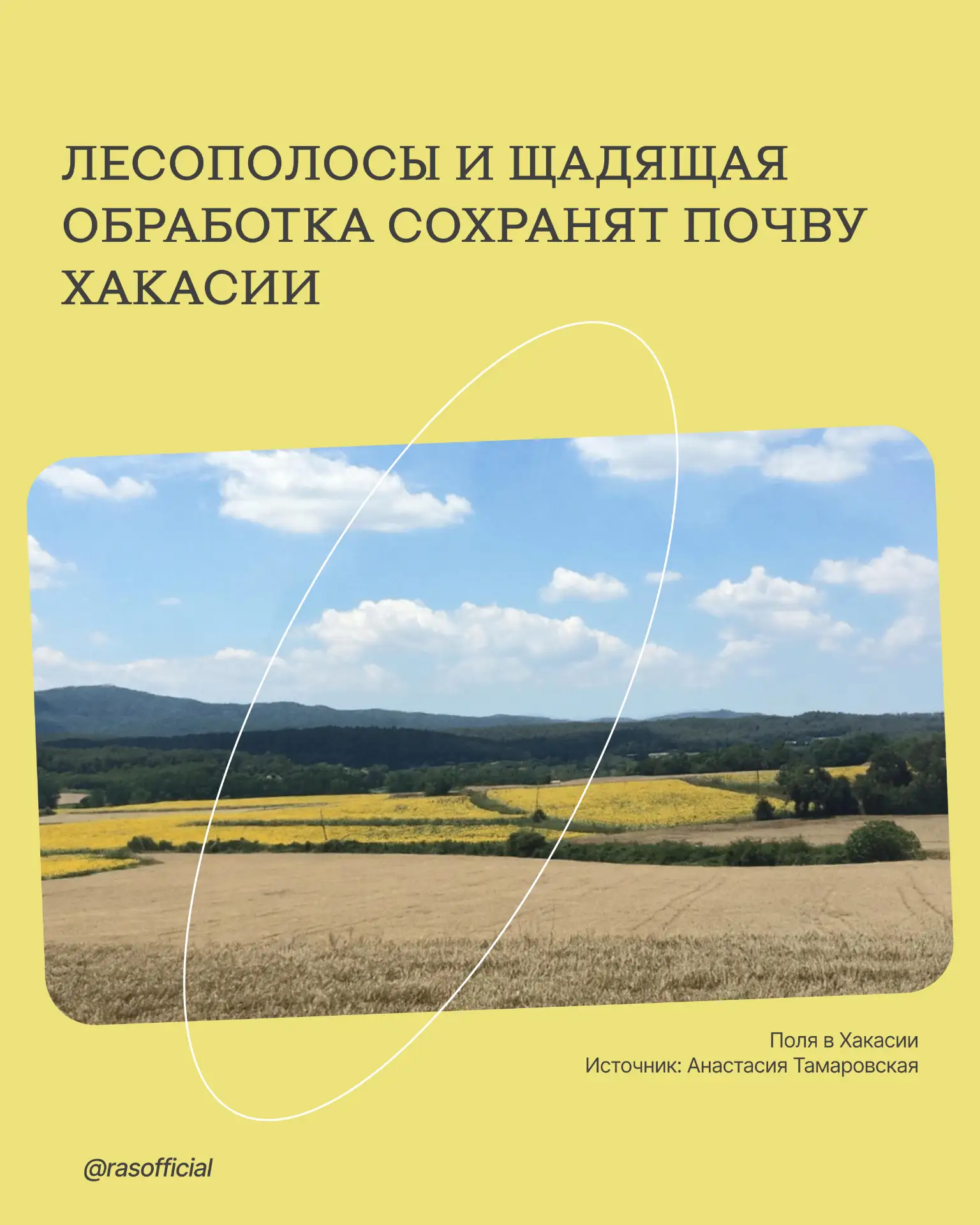 Лесополосы и щадящая обработка сохранят почву Хакасии

Учёные из НИИ аграрных проблем Хакасии в сост
