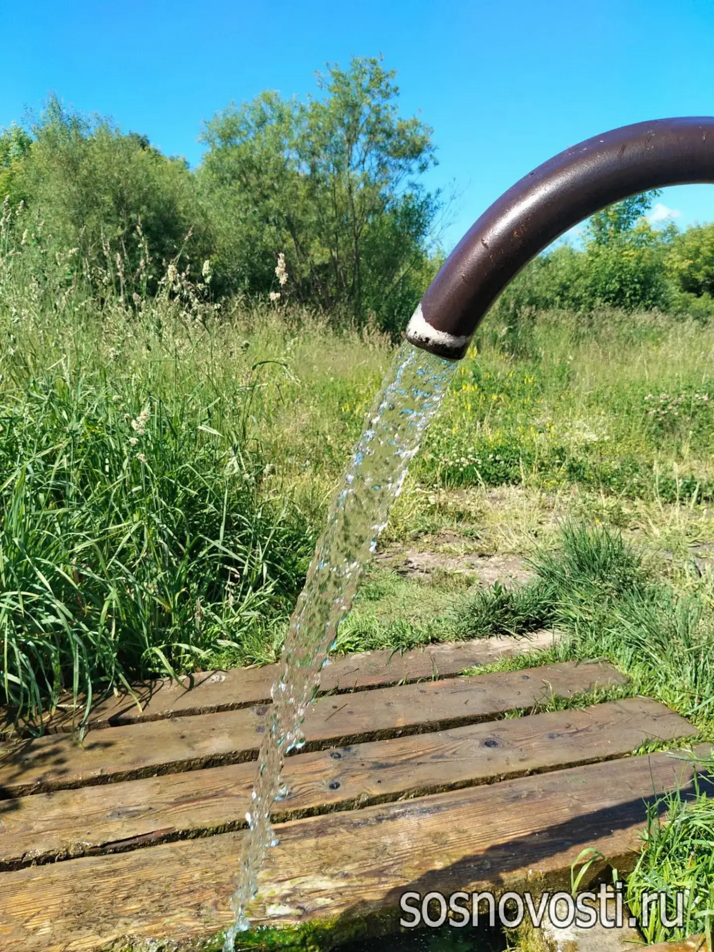 💧 Колодезная и дождевая вода играли главные роли «на Федора Колодезника» (21 июня). Жара, в поле пе