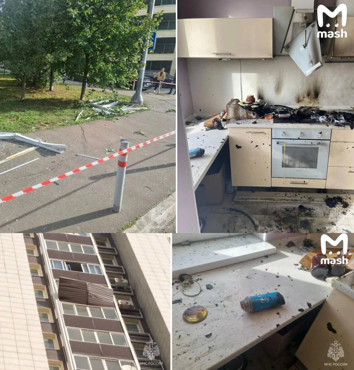 Обстановка с котами в Одинцово