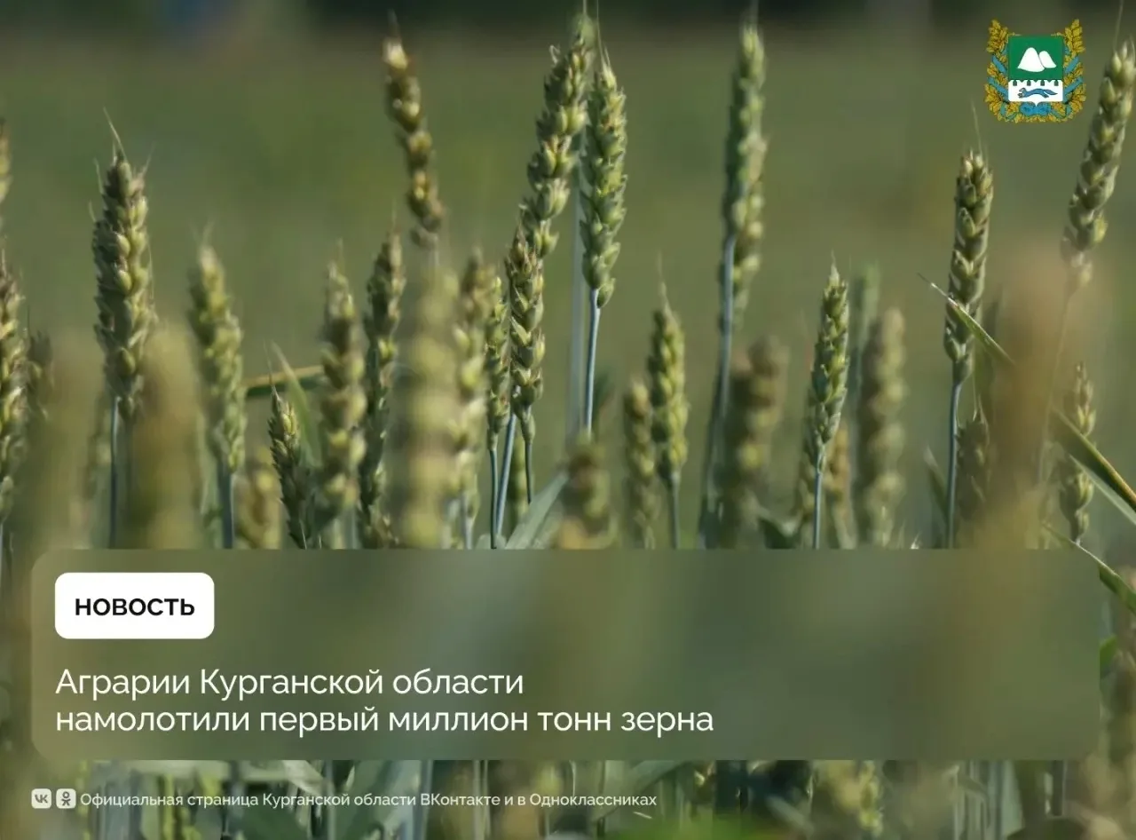 🌾Курганская область достигла важного рубежа в ходе уборочной кампании — аграрии намоло...