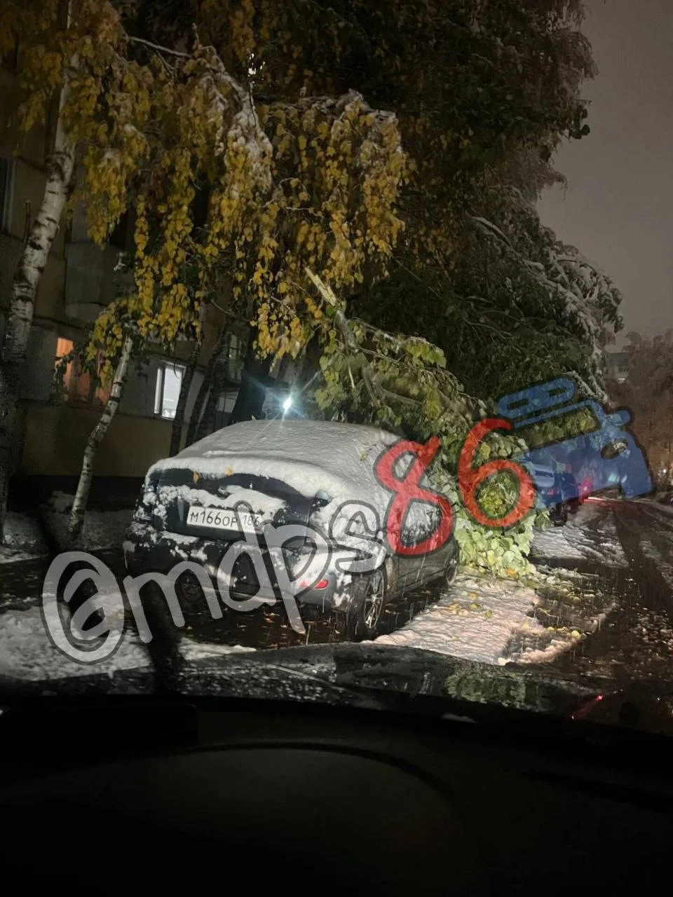 Ветки не выдерживают снега 🚨
