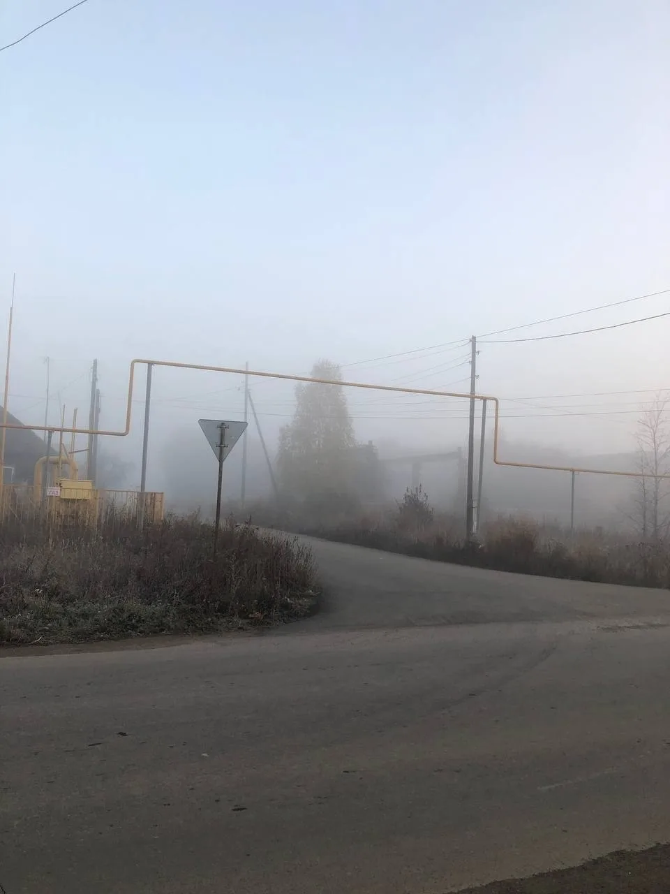 Присылайте Ваши фото в "Предложить пост"