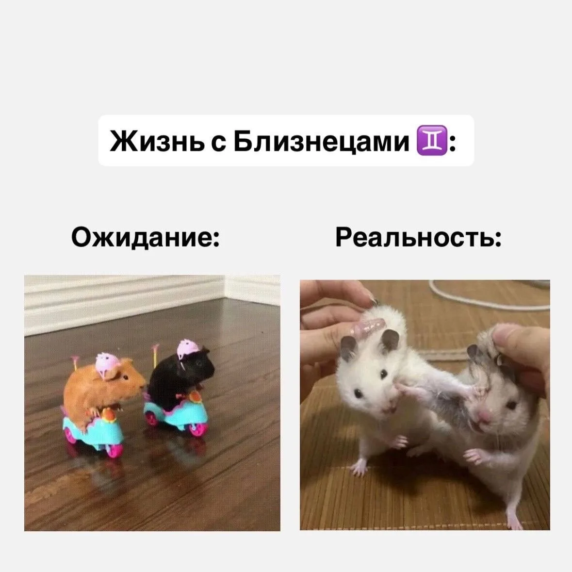 Жизнь со знаками зодиака, часть 1  Если согласны с постом, оставляйте реакцию ❤️  Астрология | Подпи