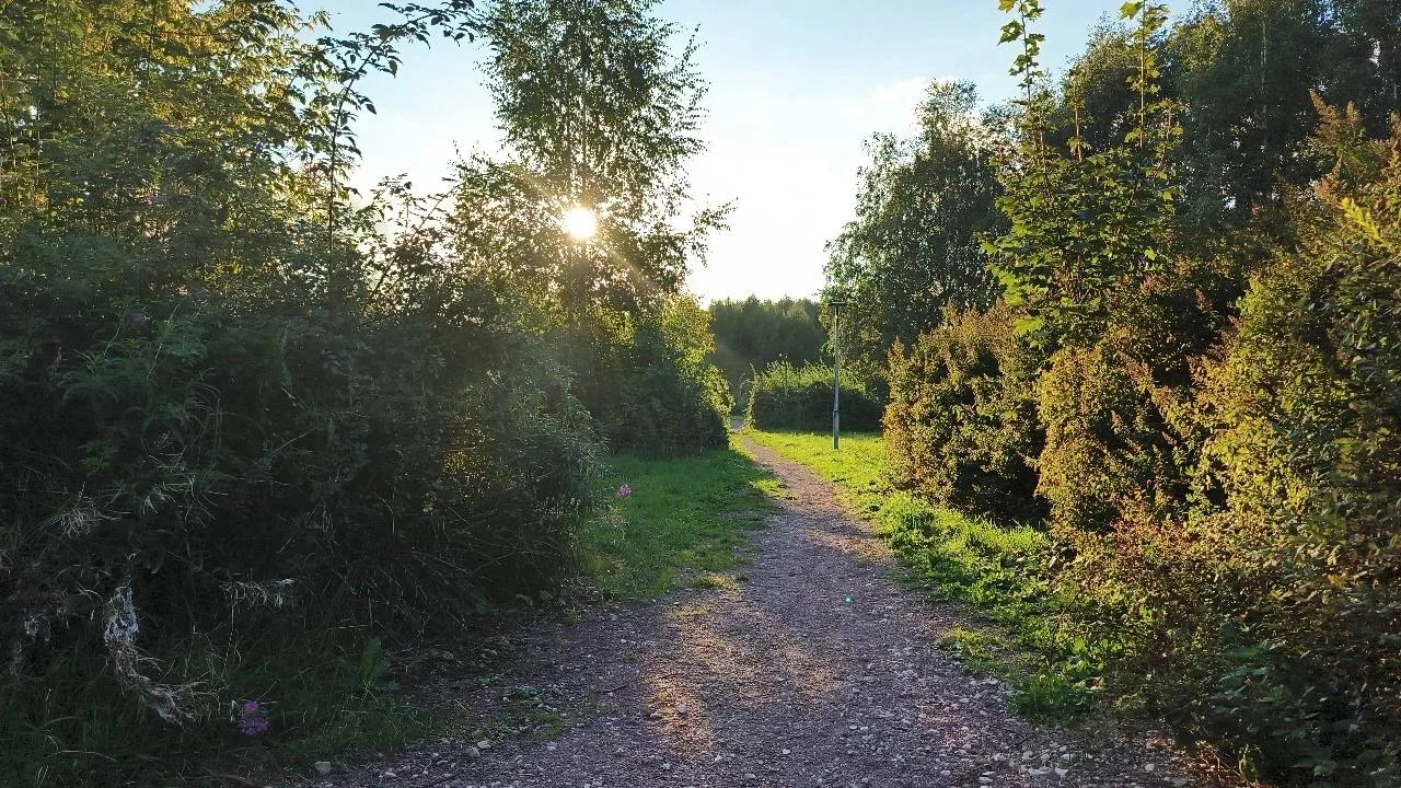 Вот и наступил последний день лета 🌿 Жаль, что оно пролетело так стремительно.