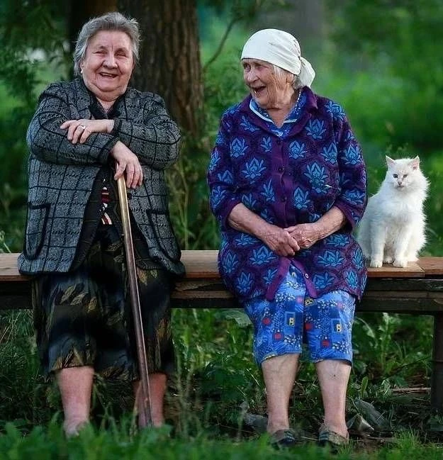 — Ну, сижу! А твоё какое дело? Это моя скамья!
