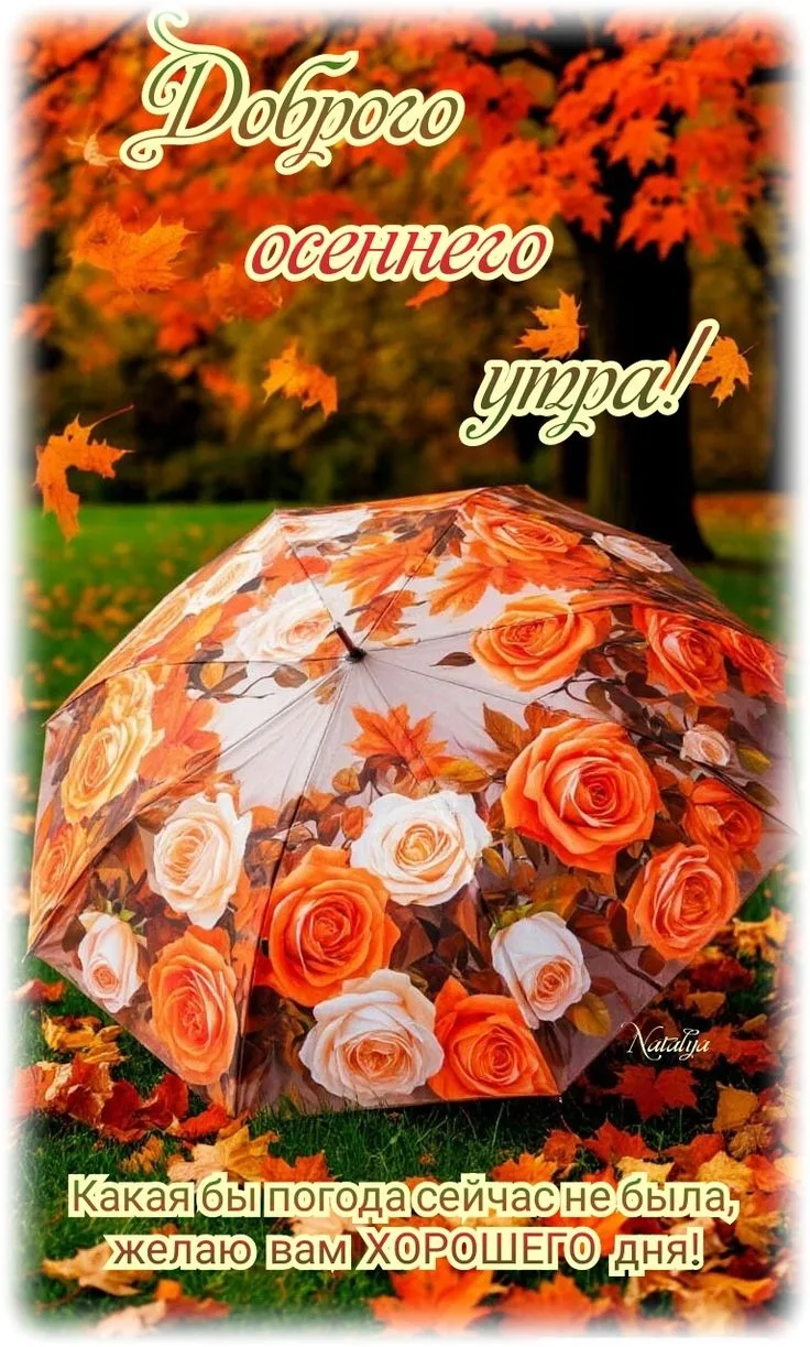 🧡🧡🧡