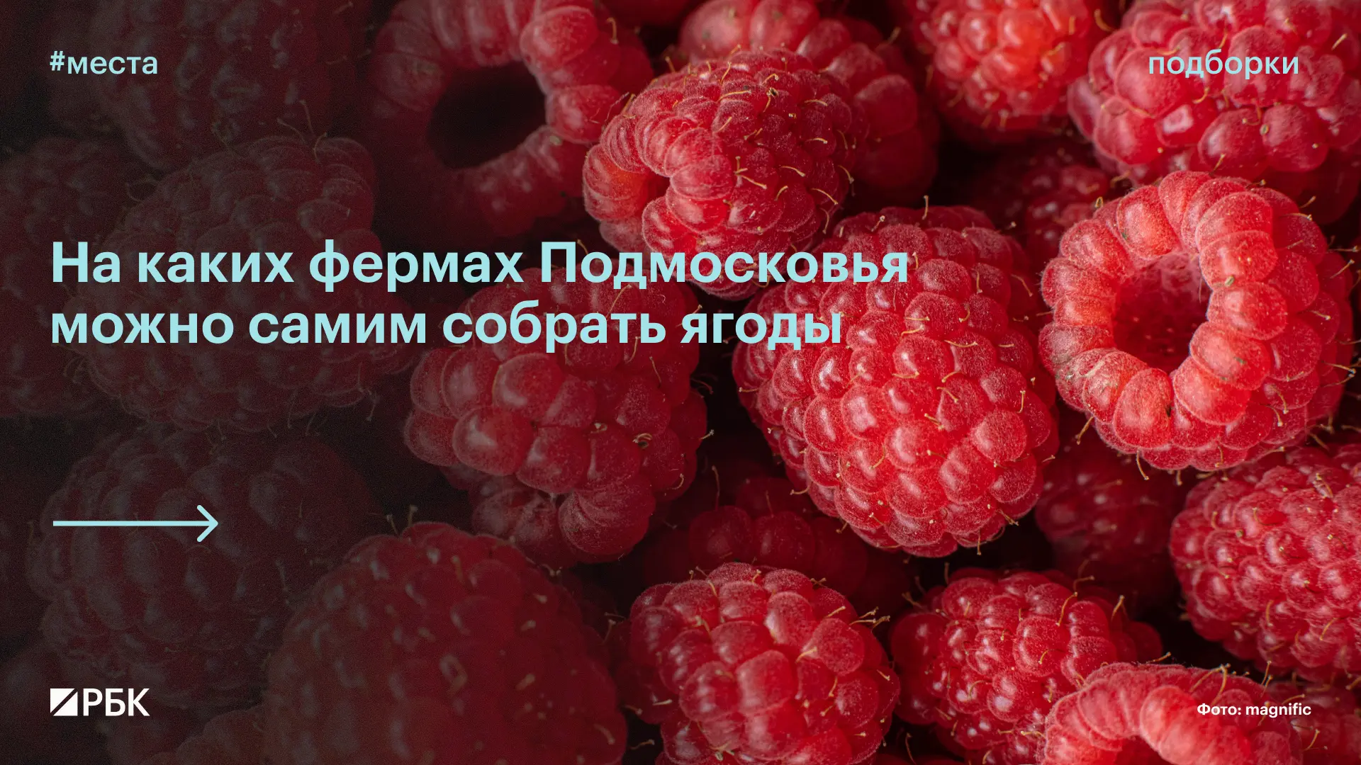 #вам_точно_сюда