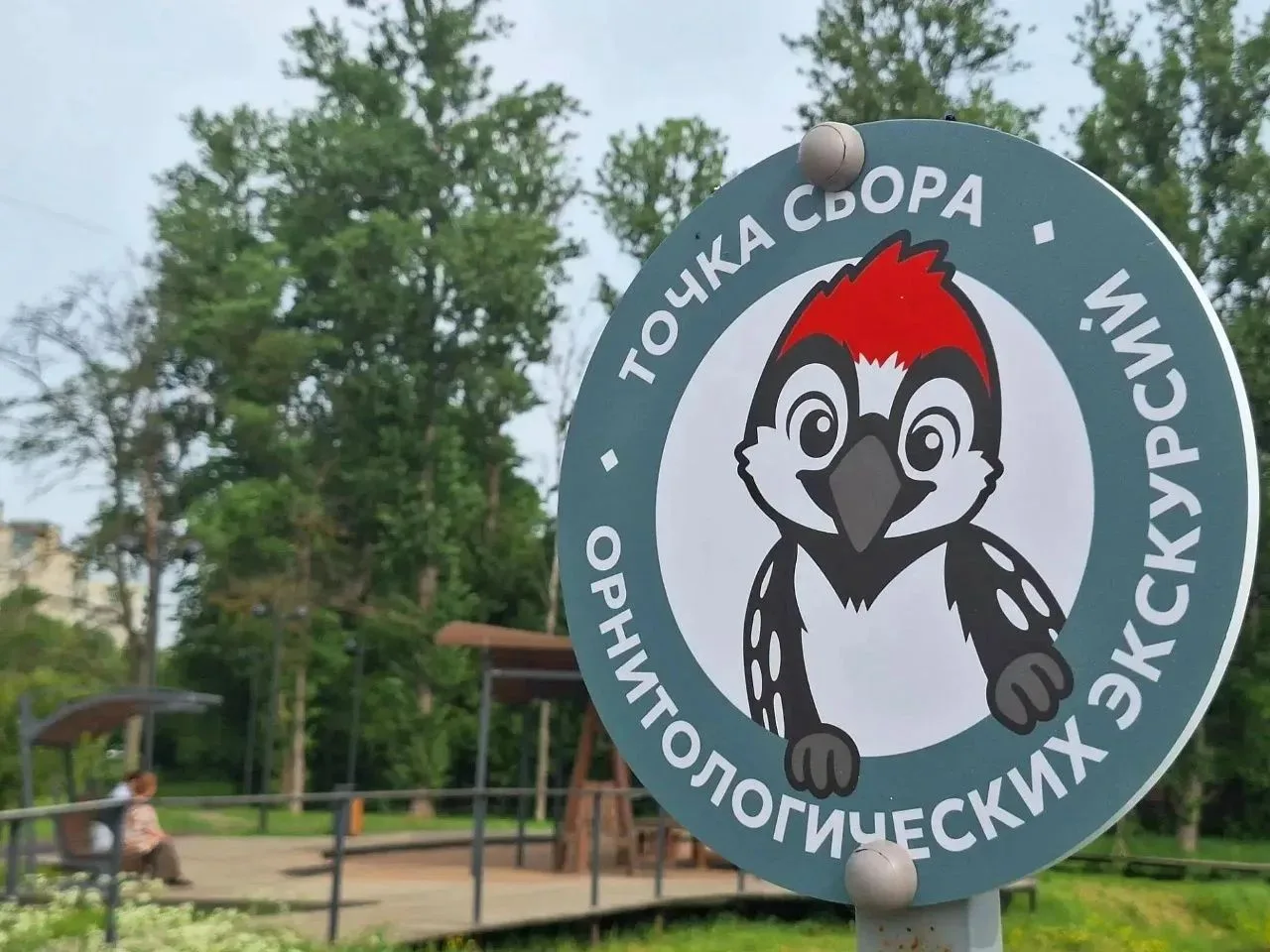 Подглядеть за жизнью птиц: орнитологическая экскурсия пройдёт уже в эту субботу