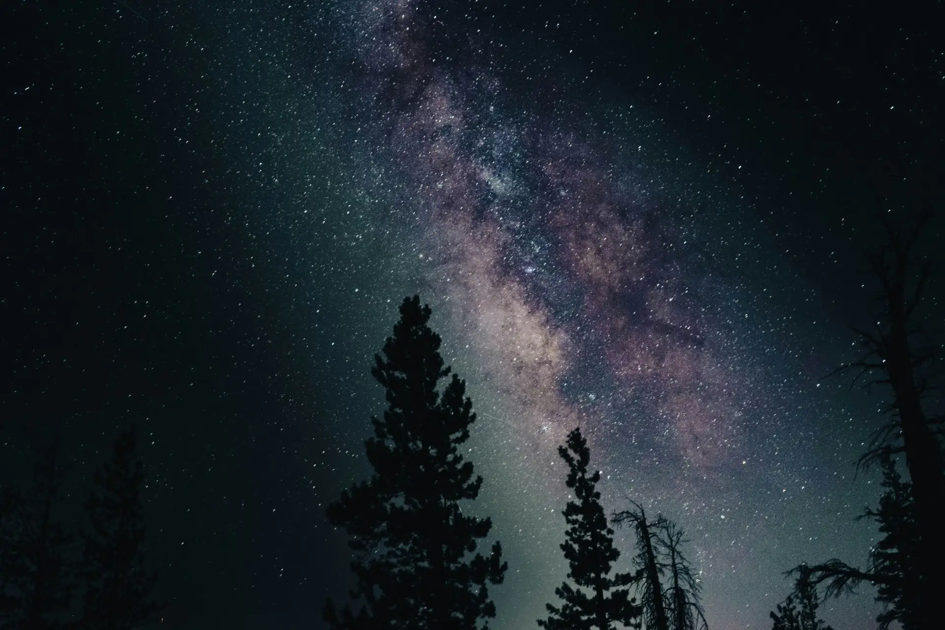 🌎 В ритме природы