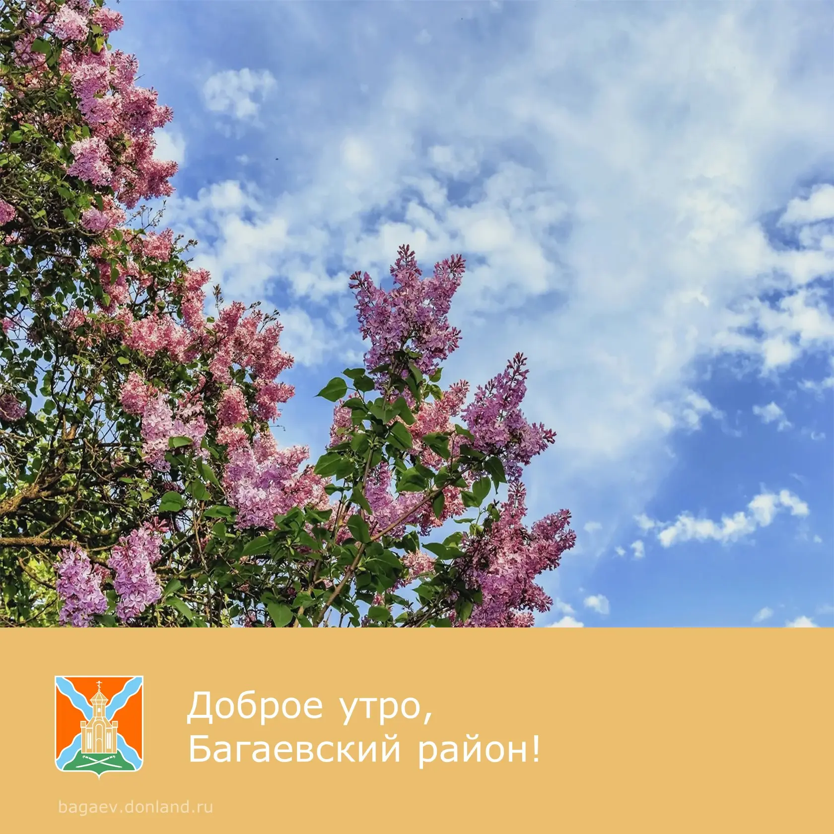 ☀️ Доброе утро, уважаемые жители Багаевского района!  ✅ Отличного настроения. Пусть удача будет с ва