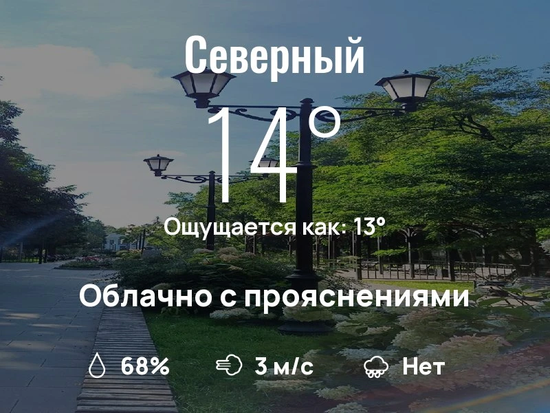 Что с погодой в Северном?