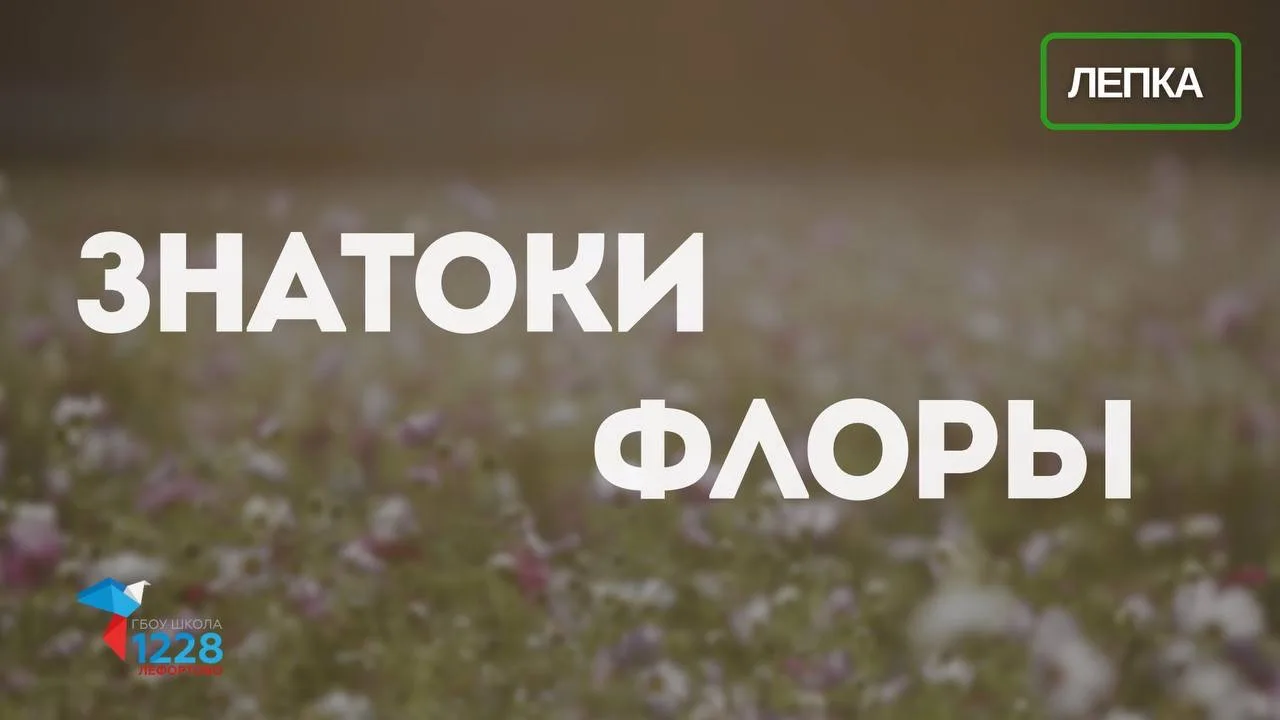 Лето, творчество и море открытий!

🔍 Знаете, как сделать летний день по-настоящему ярким? Превратит