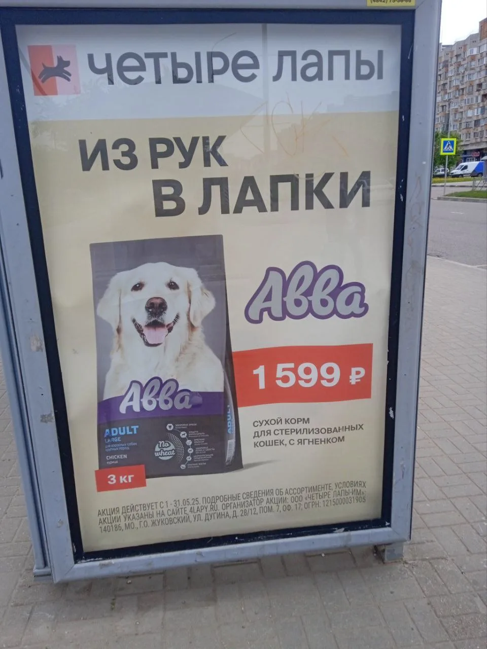 Для собак, но всё-таки кошек? С ягненком, но всё-таки с курицей?

*все равно никто не читает тексты 