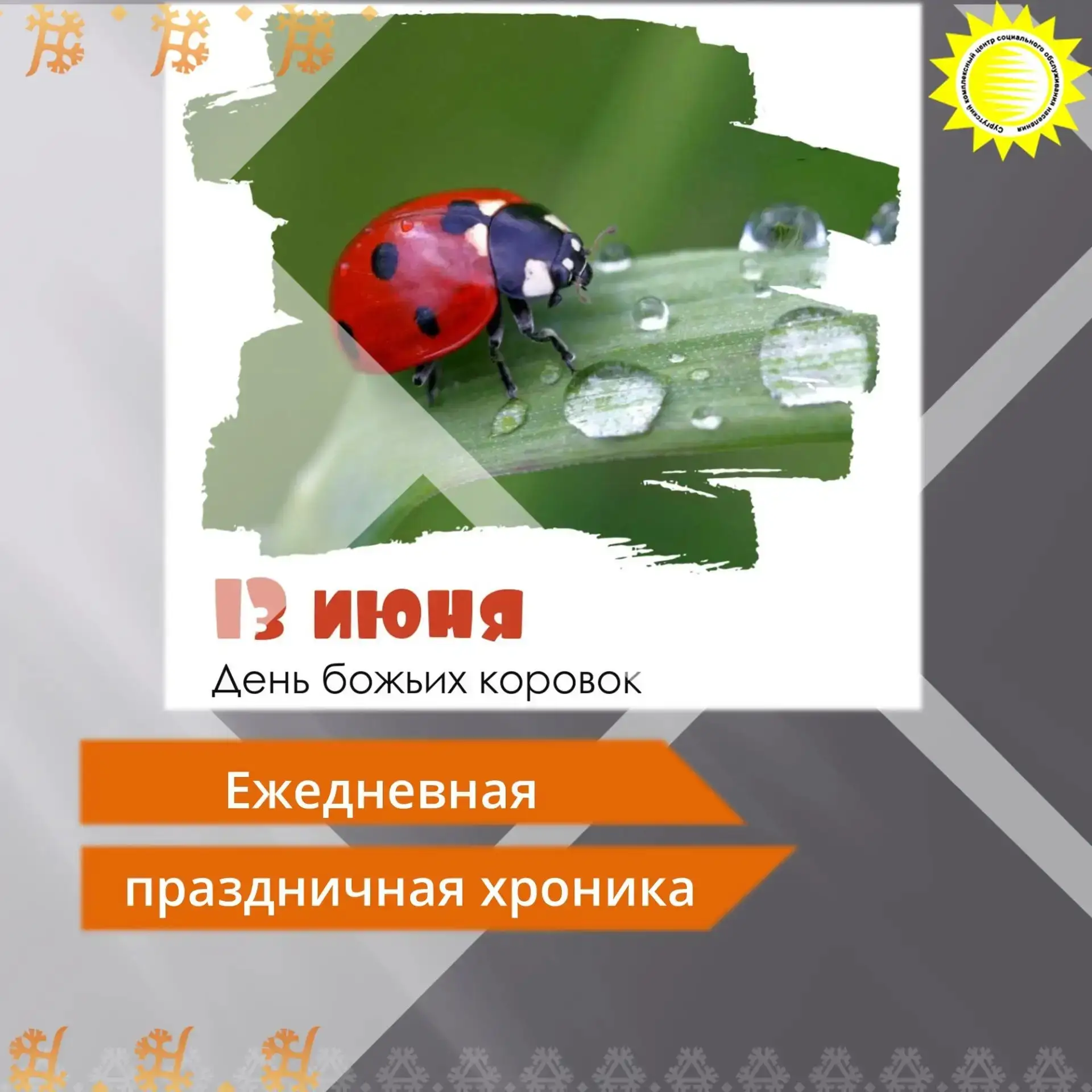 🎉13 июня — День божьих коровок!

👆Знаете ли вы, что у этих милых насекомых есть свой собственный п