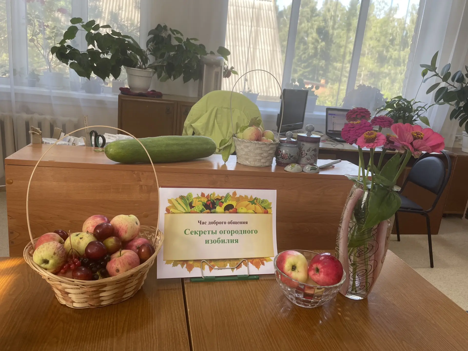 Урожайные посиделки🍏