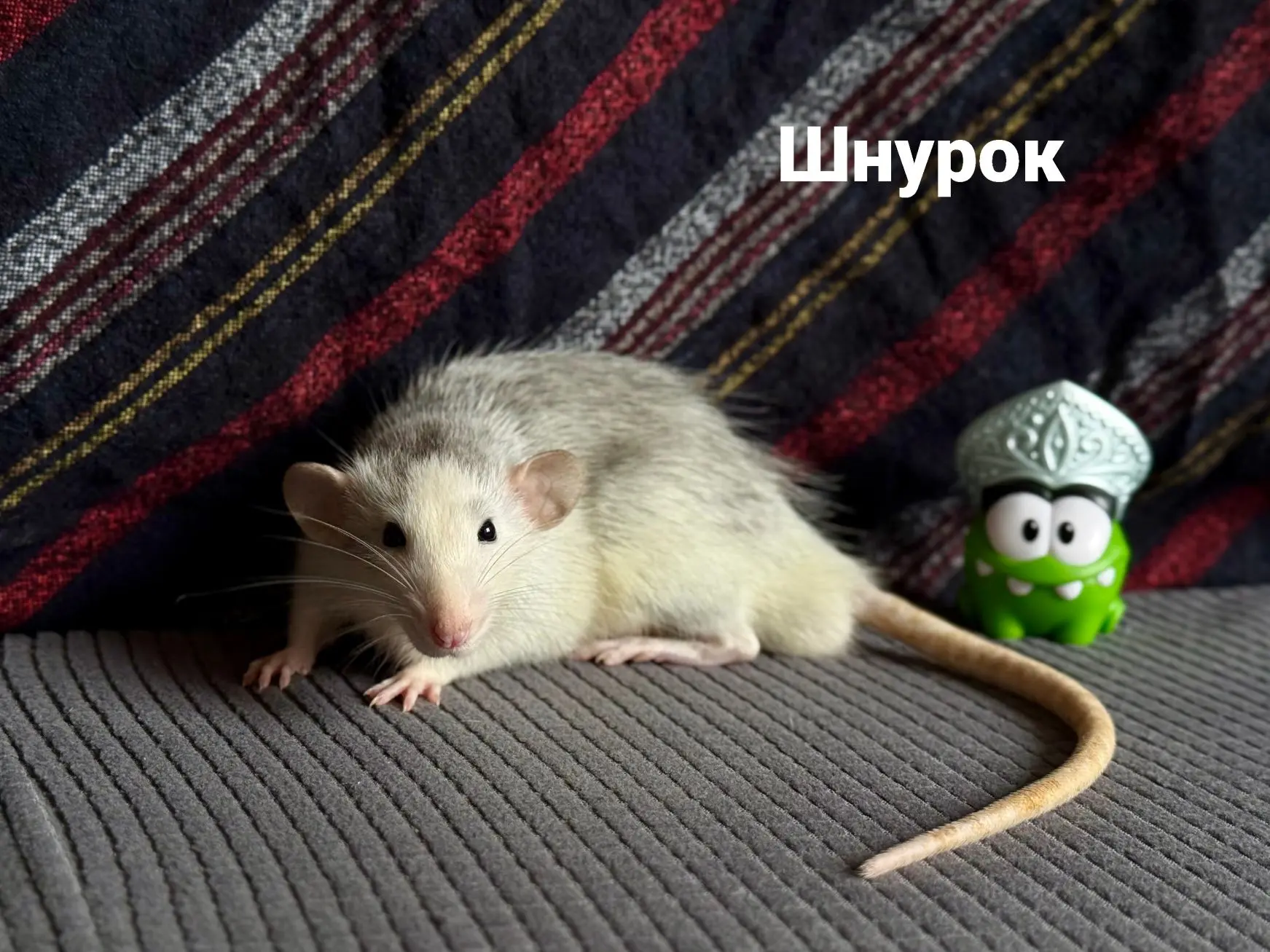Неожиданный поступок