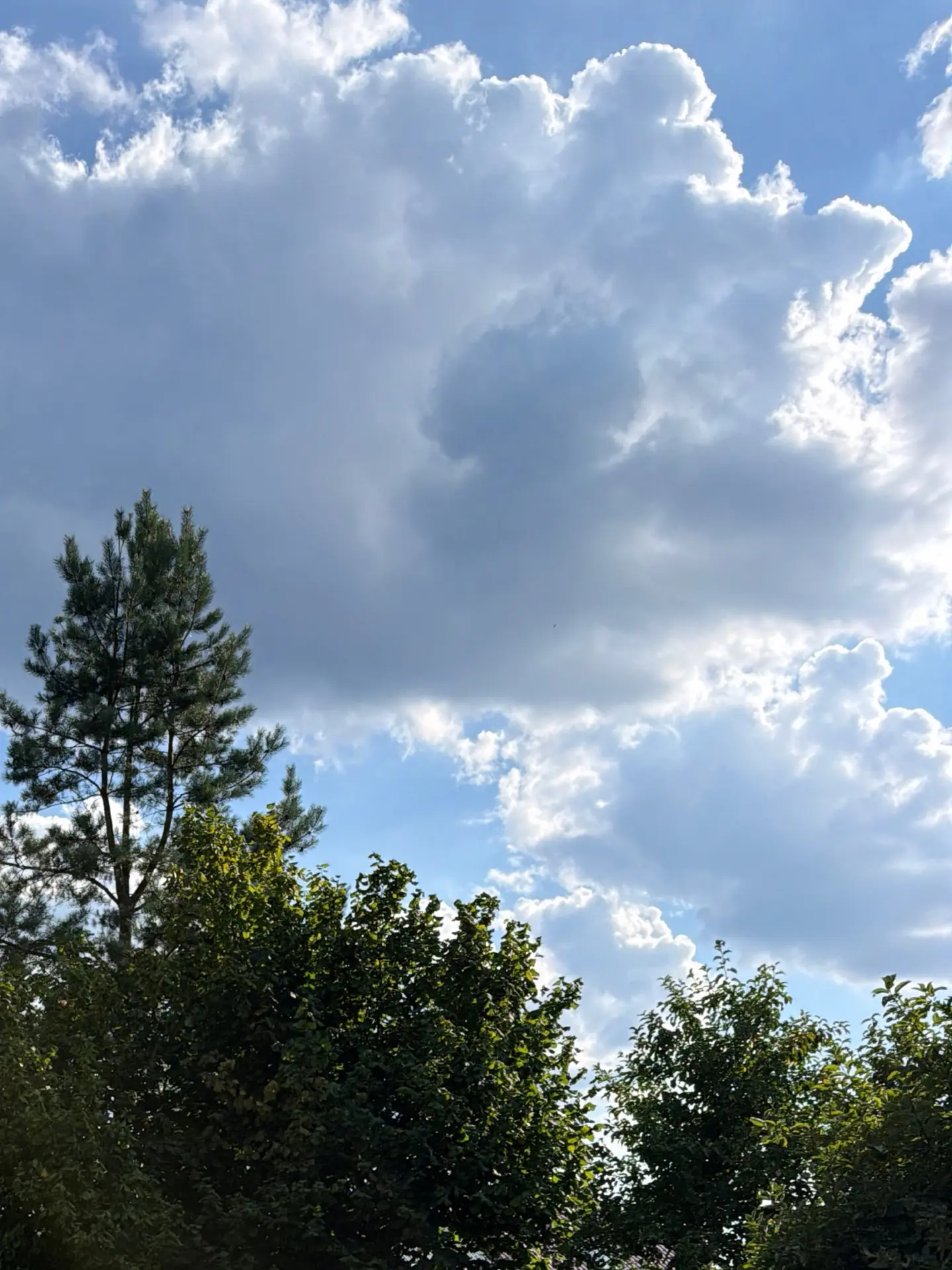 Доброе утро, Раменское!

6 августа, четверг

Утром +23° ☀️ 
Днём +30° 🌧️ 
Вечером +25° 🌥️ 
Ночью +