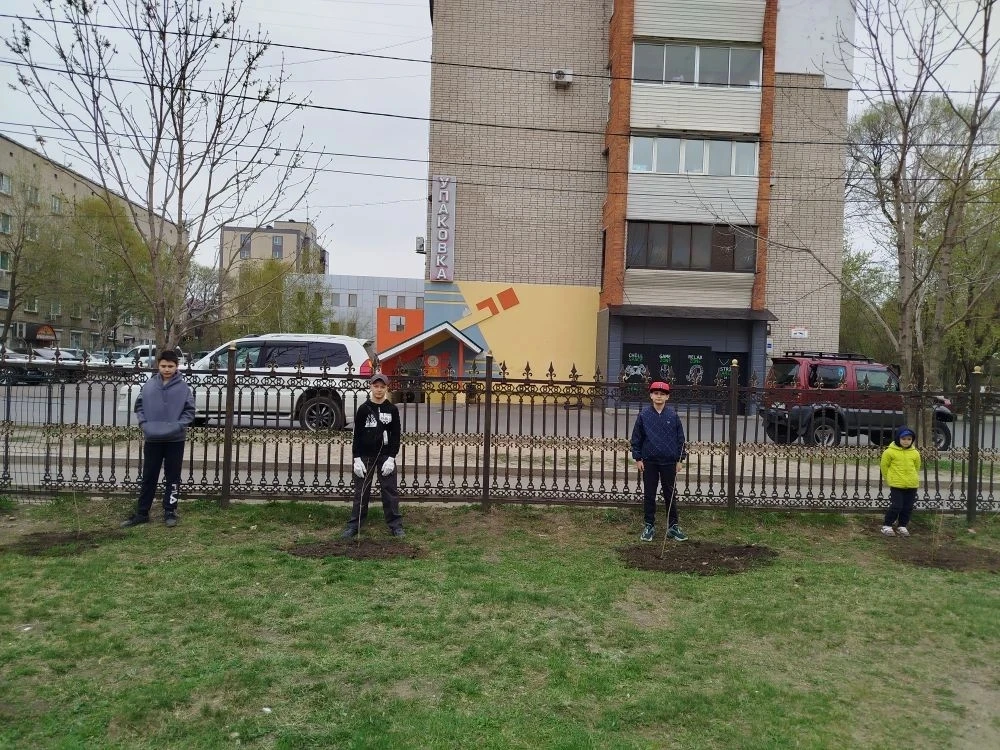 Сегодня наша школа с гордостью присоединилась к всероссийской акции «Сад памяти». На территории школ