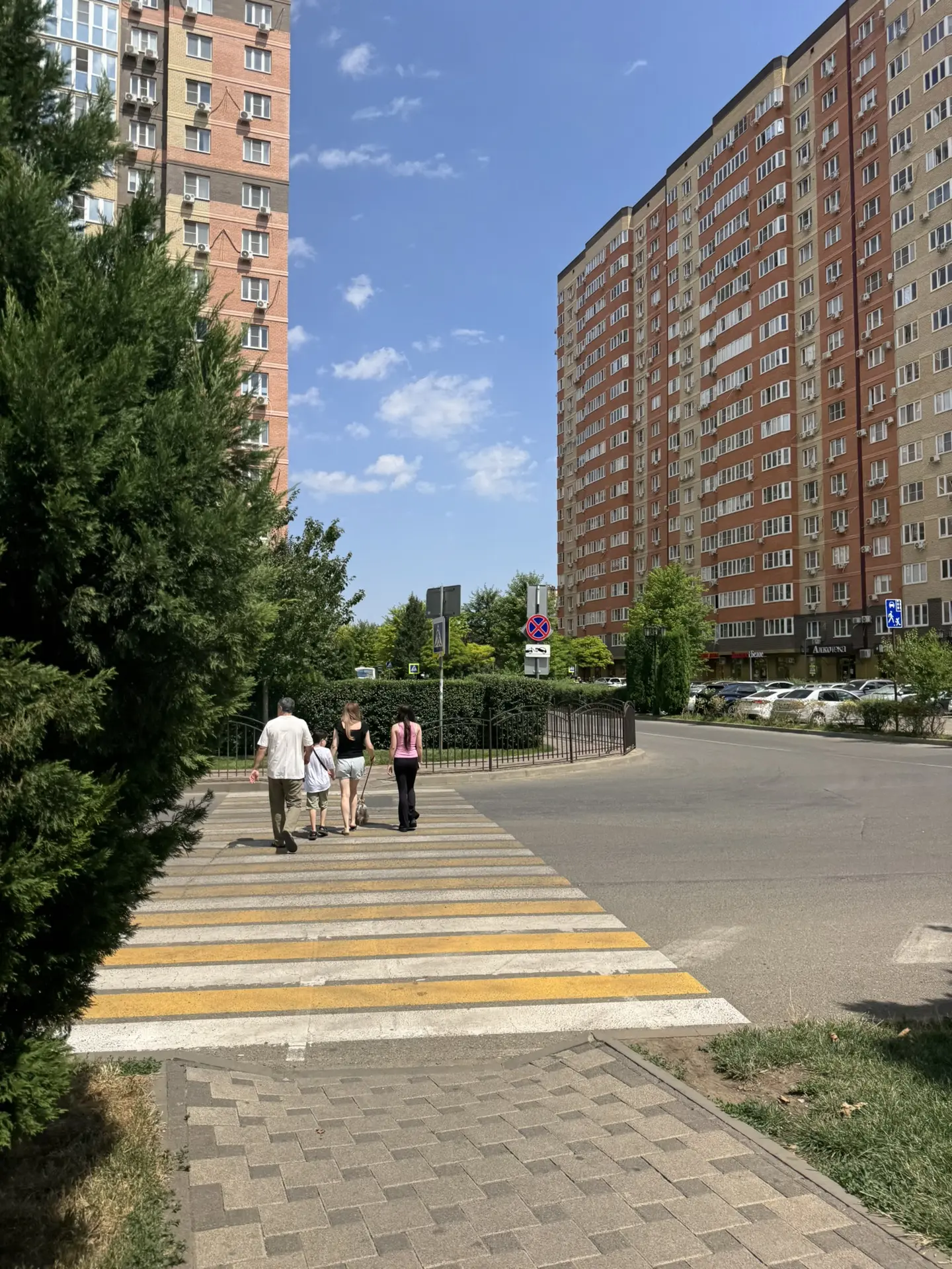 Доброе утро, Губернский!