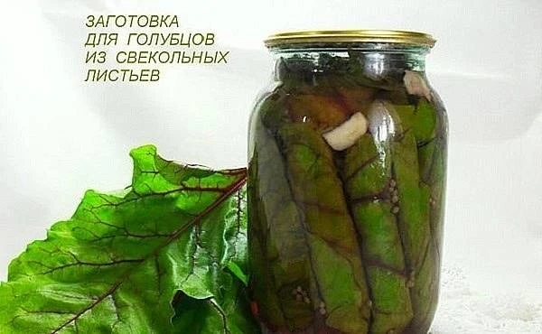 СВЕКОЛЬНАЯ БОТВА