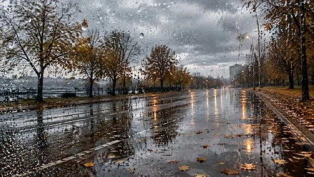🌧️ 80% месячной нормы осадков выпадет в Москве за неделю