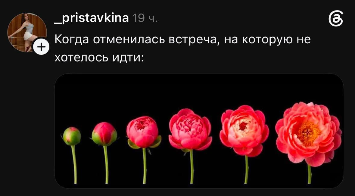 Одно из самых лучших чувств…  

max/moscvichkaк