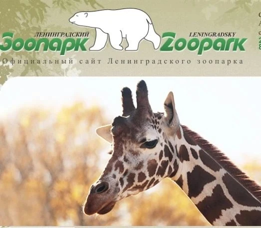 1 сентября в Ленинградский зоопарк пускают школьников бесплатно. Это традиционная акция...