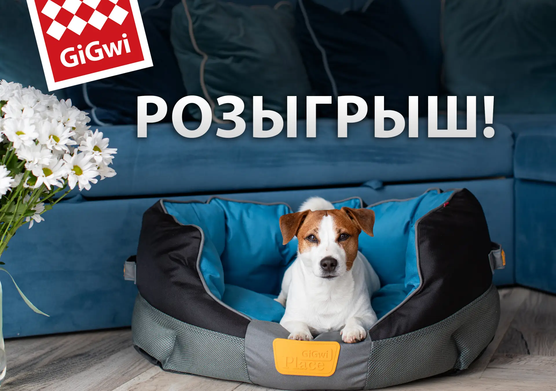 🎁Дарим 3 удобные лежанки GiGwi из оксфорда с противоскользящим дном и съемной подушкой!