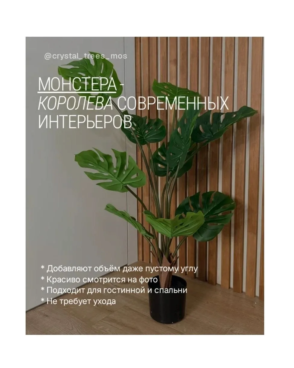 Каждое из них по-своему меняет атмосферу:
