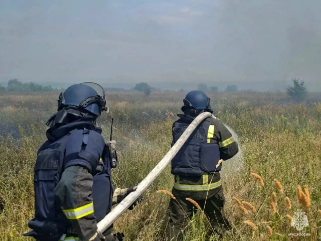 👨‍🚒За минувшие сутки в Запорожской области произошло 29 пожаров