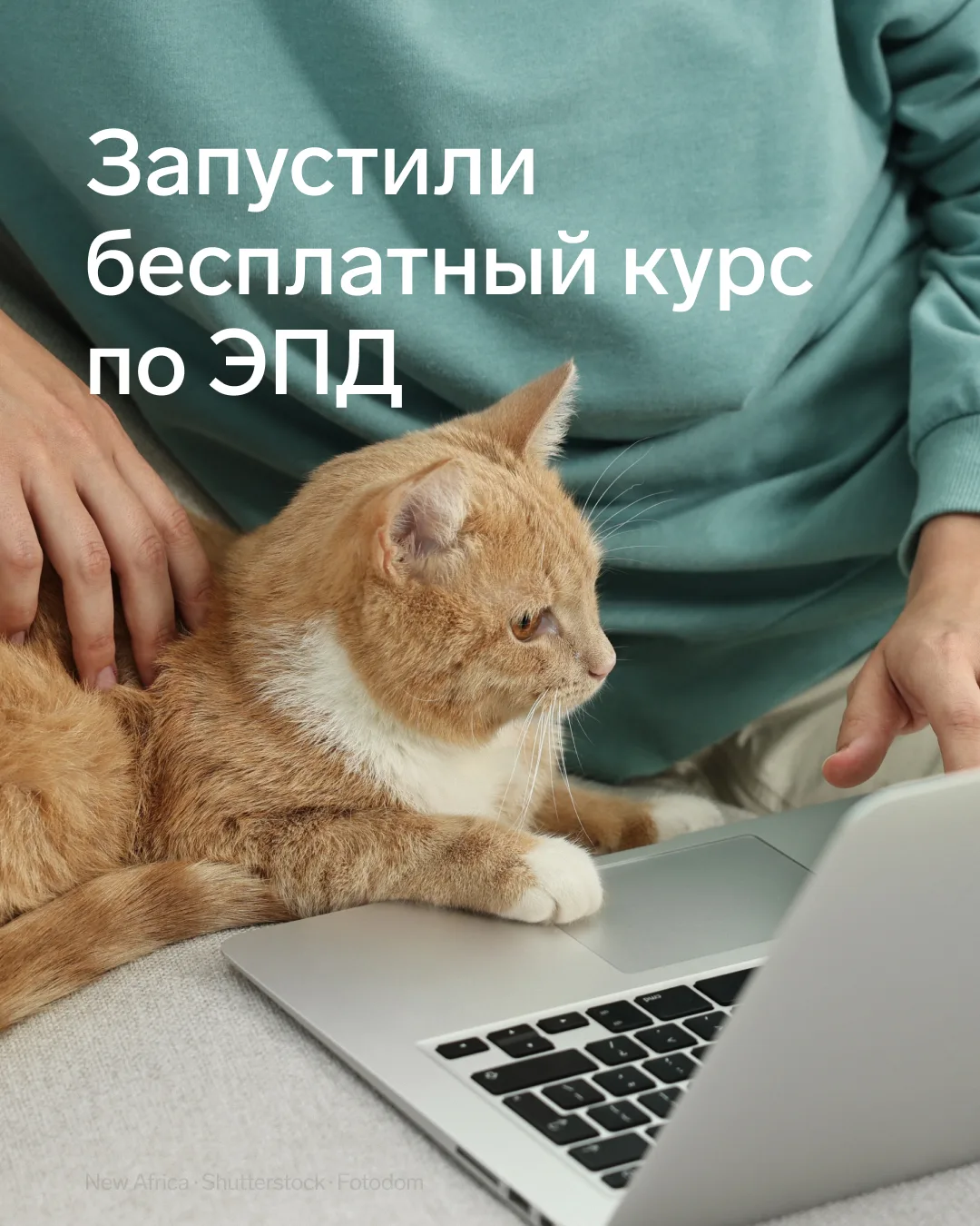 🚀 Запустили бесплатный курс по электронным перевозочным документам