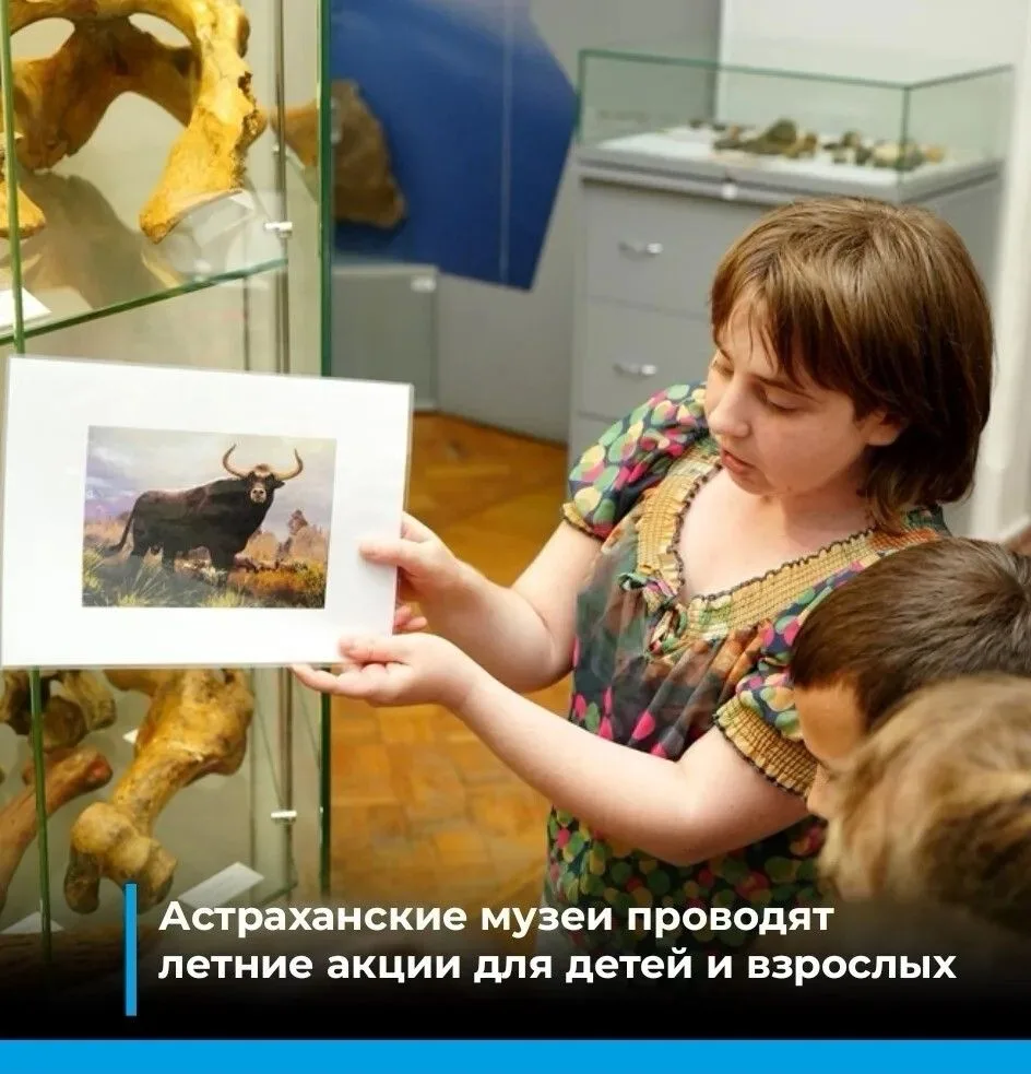 Проект «Загружай лето» продолжается: в учреждениях культуры подготовили интерактивные программы

В к