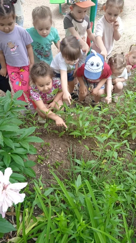 Во время прогулки ребята из 10‑й группы сделали удивительное открытие: на территории на...