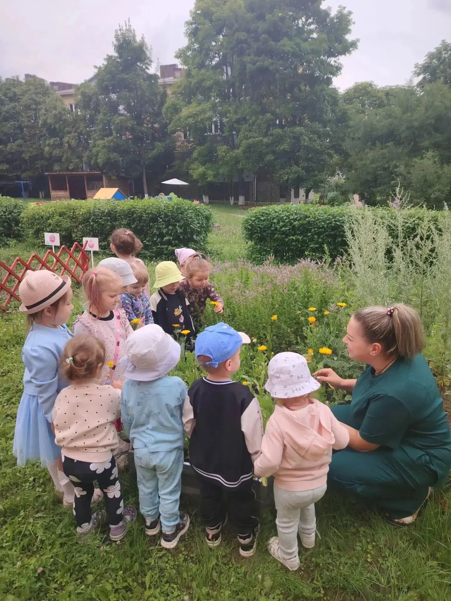Наш маленький поход за здоровьем! 🌿
Сегодня наши воспитанники превратились в настоящих исследовател