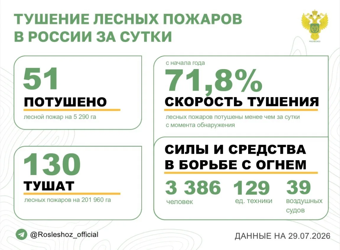 🟢 За прошедшие сутки в 15 регионах России потушили 51 лесной пожар. 
Продолжается тушение 130 лесны