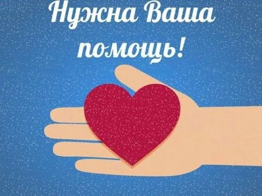 Мендвт! Добрый день!