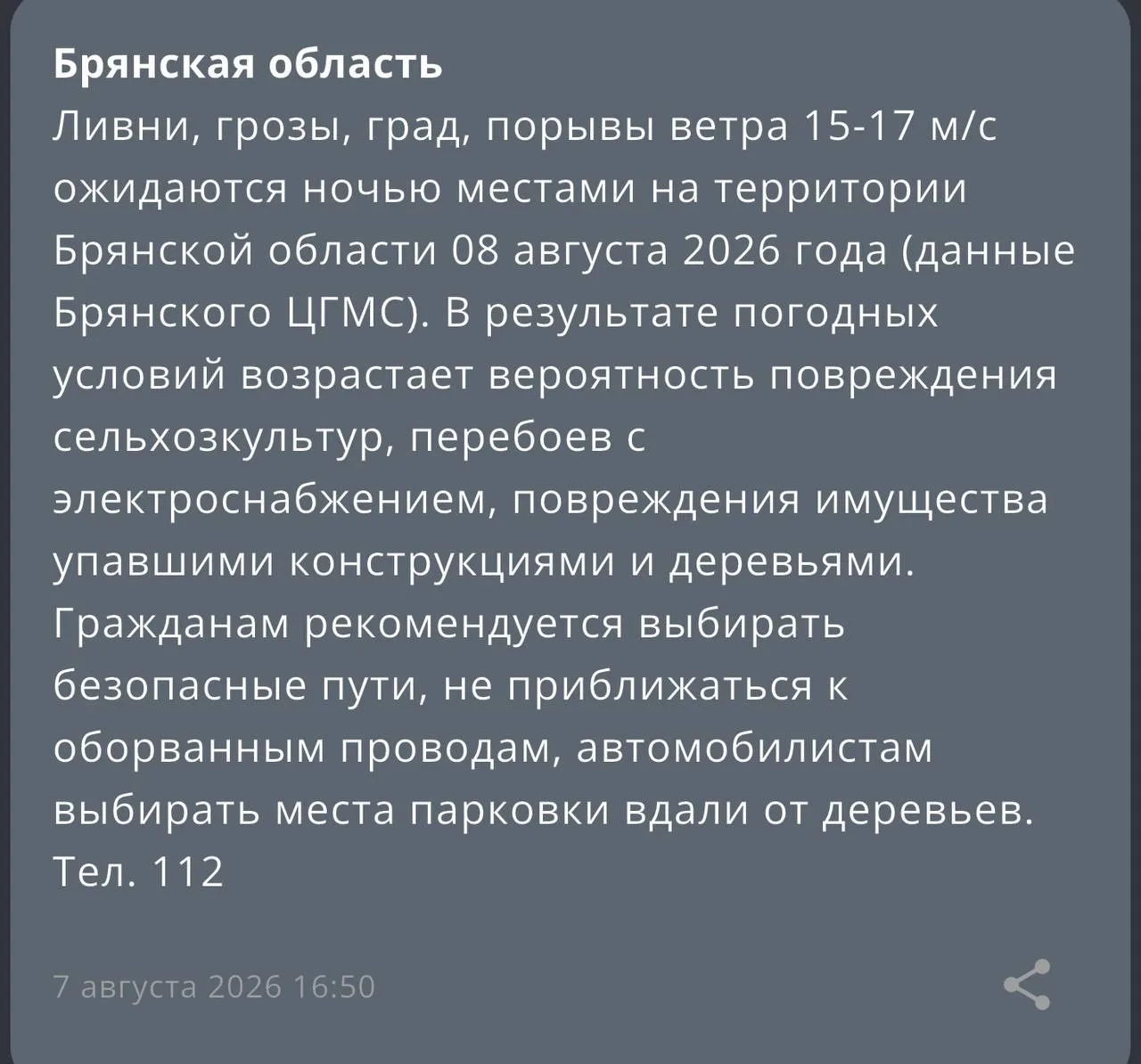 🌩️Ливни, грозы и град накроют Брянскую область