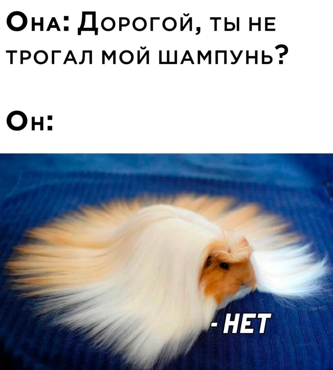 Юмор 24/7 | Подпишись!