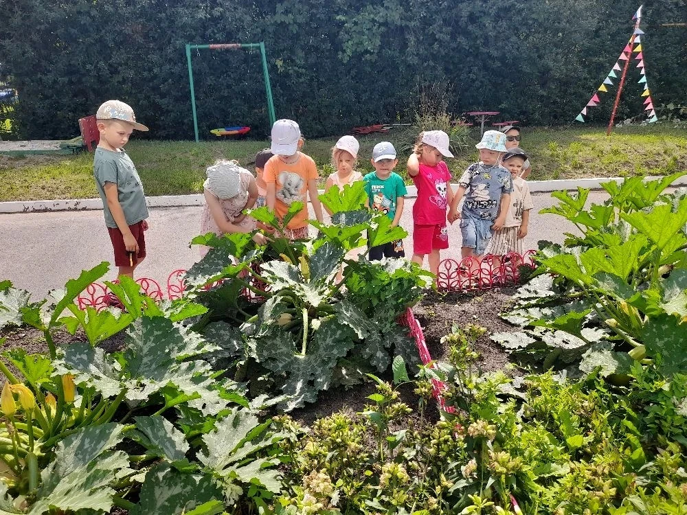 🌱Наблюдение за кабачками.

В нашем детском саду продолжается увлекательный проект по наблюдению за 